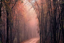 博狗体育：前11个月全国一般公共预算收入199010亿元.