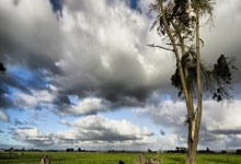 博狗体育：拜仁3-2戰勝熱刺 穆勒進球 凱恩替補再現熱刺主場.