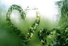 [NBA]福克斯首秀24+13 马刺一分险胜老鹰.