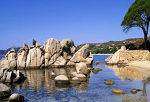 博狗体育：拜仁3-2戰勝熱刺 穆勒進球 凱恩替補再現熱刺主場.